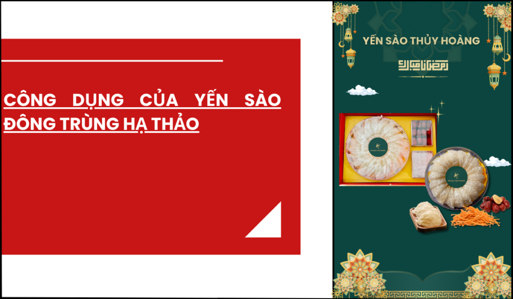 cong-dung-cua-yen-sao-dong-trung-ha-thao