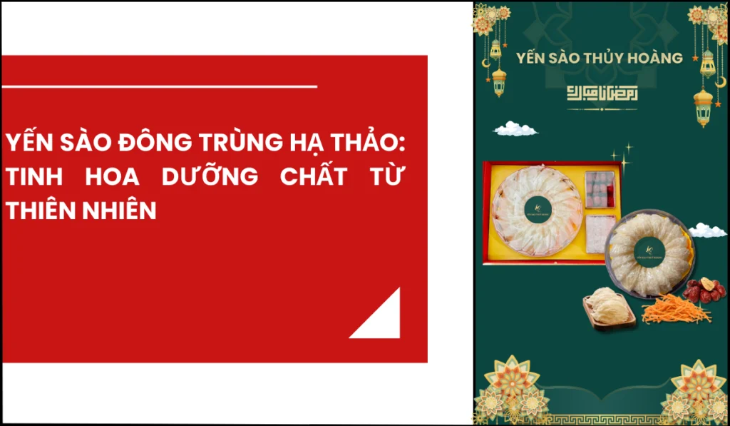 yen-sao-dong-trung-ha-thao